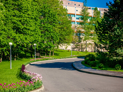 Санаторий «Заря», Кисловодск. Территория